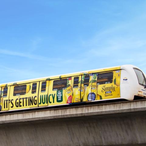 Drop a 🍋 if you’ve seen this in your city...